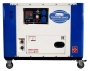 Дизельный сварочный генератор TSS DGW-300ES