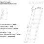 фото односекционная лестница gigant l-01-10