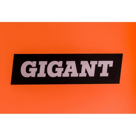 фото инверторный сварочный аппарат gigant gwm-160